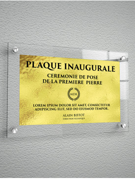 Plaque Polyester Or 01