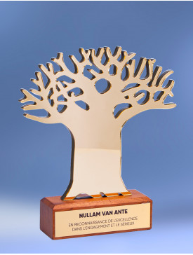 Trophée "Wood Baobab"