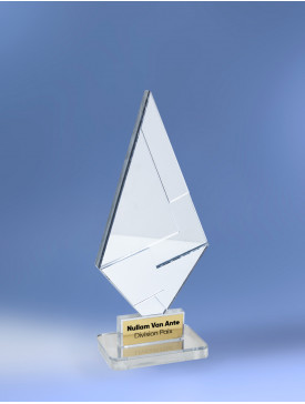 Trophée Diamond Silver