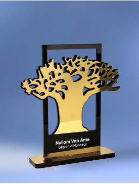 Trophée Le Baobab Gold 1