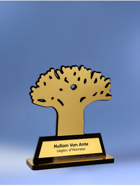 Trophée Le Baobab Gold 2