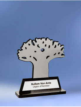 Trophée Le Baobab Silver 2