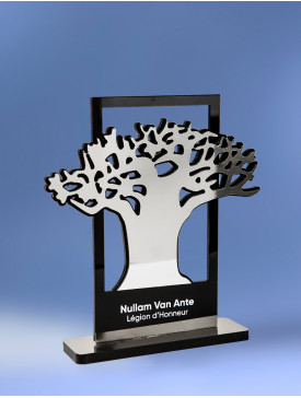Trophée Le Baobab Silver 1