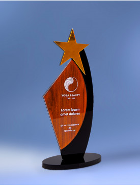 Trophée "Star Wood"