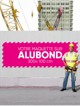 Panneau Alubond XXL ⅓ / 04