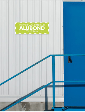 Panneau Alubond M ⅓ / 01