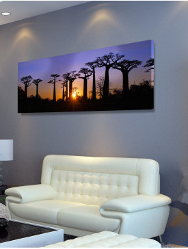 Tableau Canvas 240 x 80 cm