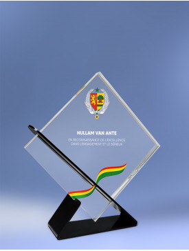 Trophée "acrylic" carré