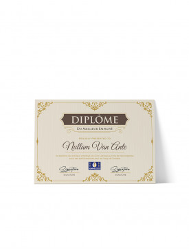 Diplôme Papier A4 02