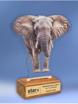 Trophée "Star"