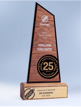 Trophée "Trinity" Pyramidal