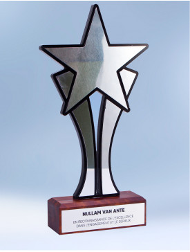 Trophée "Wood Étoilé"