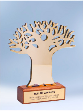 Trophée "Wood Baobab"