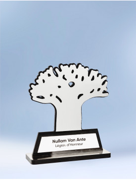Trophée Le Baobab Silver 1