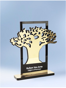 Trophée Le Baobab Gold 1